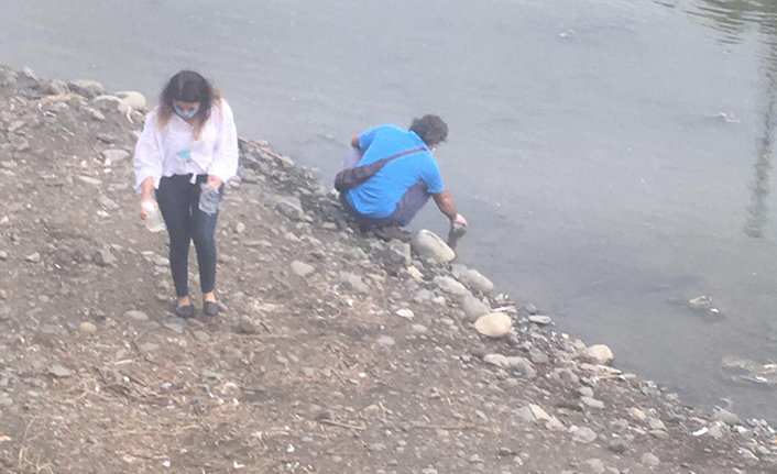 Trabzon’da derede etrafa saçılan ölü balıklar endişe yarattı