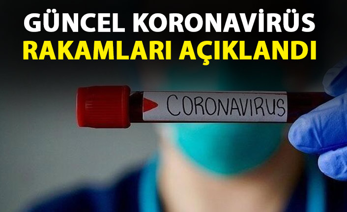 Bakan Koca güncel koronavirüs verilerini açıkladı: Ağır hasta arttı