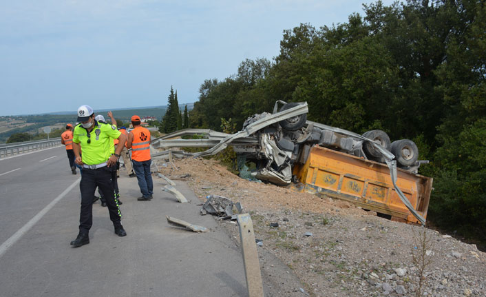 Aracına arı girince kaza yaptı