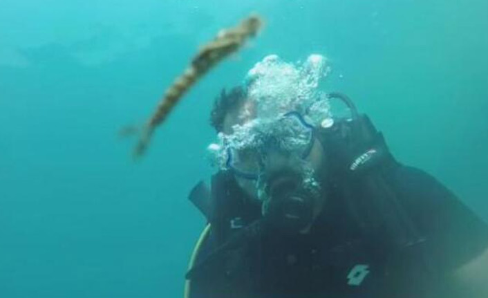 Van Gölü'nde yeni canlı türü bulundu