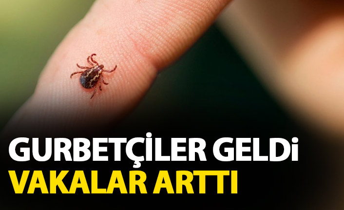 Gurbetçiler geldi vakalar artıı