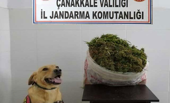 Biga’da uyuşturucu operasyonu