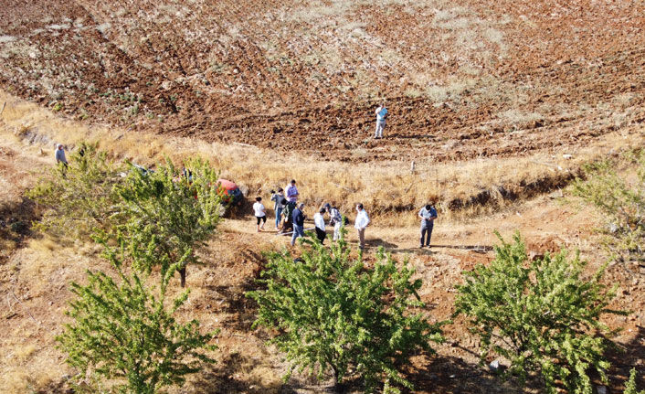 Koyun otlattıkları dağları badem bahçesine çevirdiler