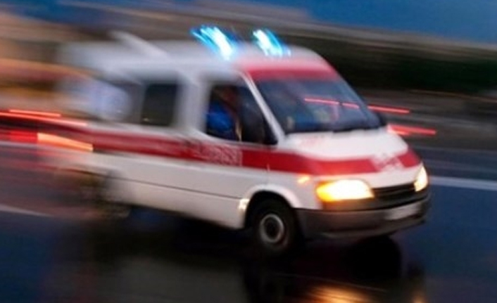 Trabzon'da üzerine ağaç devrilen çocuk hayatını kaybetti