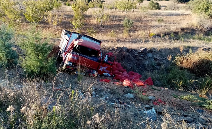 Badem yüklü kamyonet devrildi: 2 yaralı