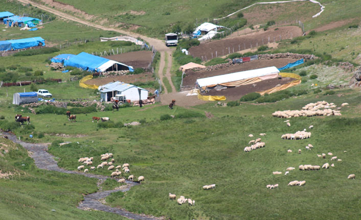 Yaylacılık kültürünü araştırıyorlar
