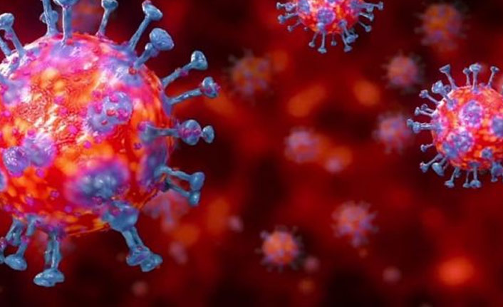 Koronavirüs dünya genelinde 35 Milyonu geçti