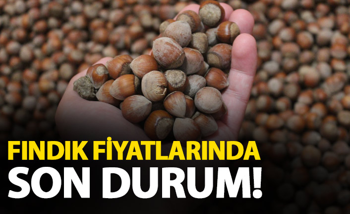 Fındık fiyatlarında son durum