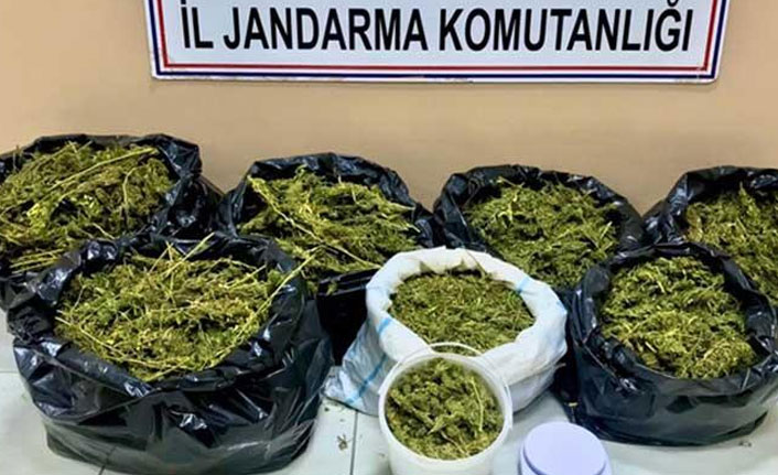 Feribottaki otomobilden uyuşturucu çıktı