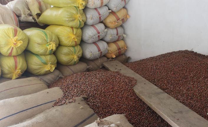 Giresun'dan bir ayda 33 bin 471 ton fındık ihraç edildi