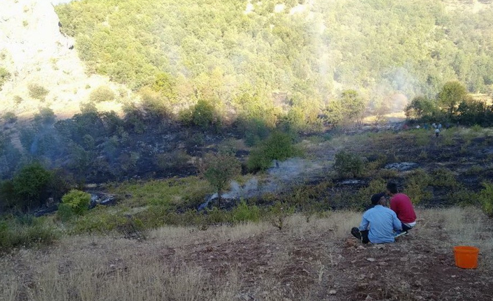 Orman yangınına itfaiye müdahale etti