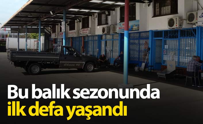 Trabzon'da balık halinde bir ilk