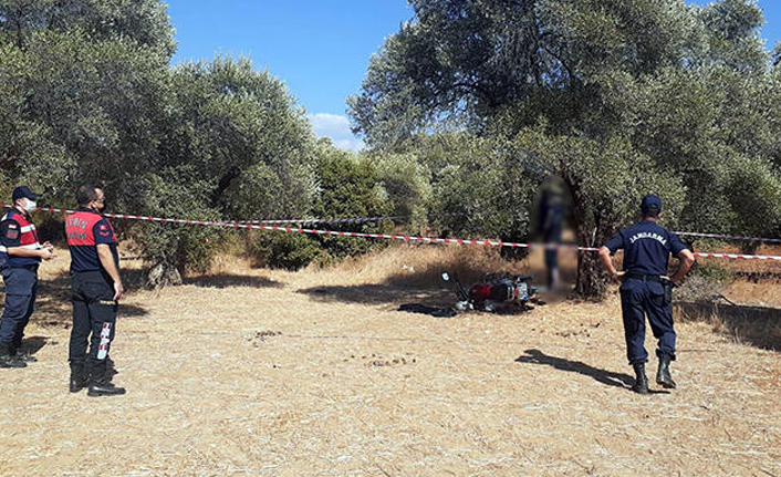 İtfaiye eri, zeytinlikte kendini astı