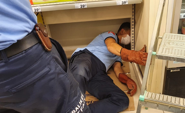 Sıkışan yavru kedilerin yardımına itfaiyeciler koştu