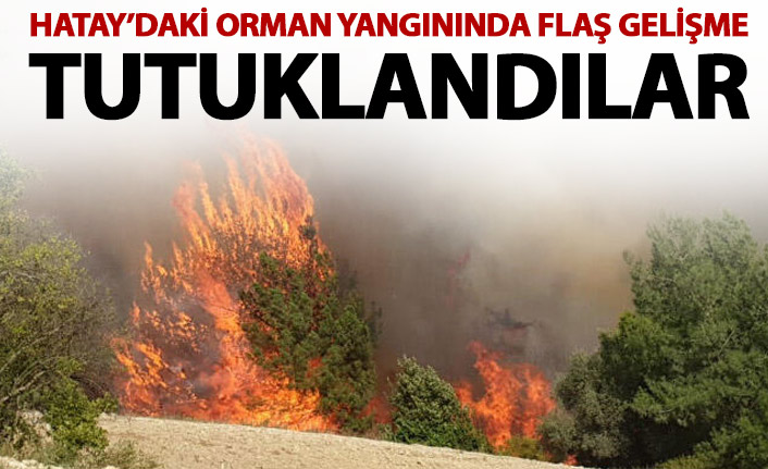 Hatay'daki orman yangınında flaş gelişme! Tutuklandılar!