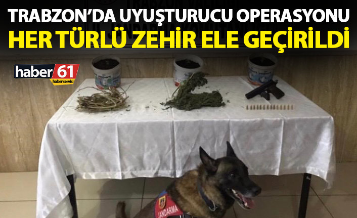 Trabzon’da uyuşturucu operasyonu! Her türlü zehir ele geçirildi