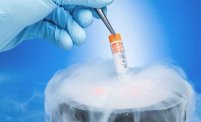 “Yumurta dondurma yöntemi ile ilerleyen yaşlarda anne olmak mümkün”