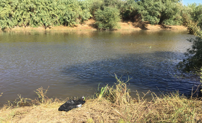Koyun otlatırken ceset buldular