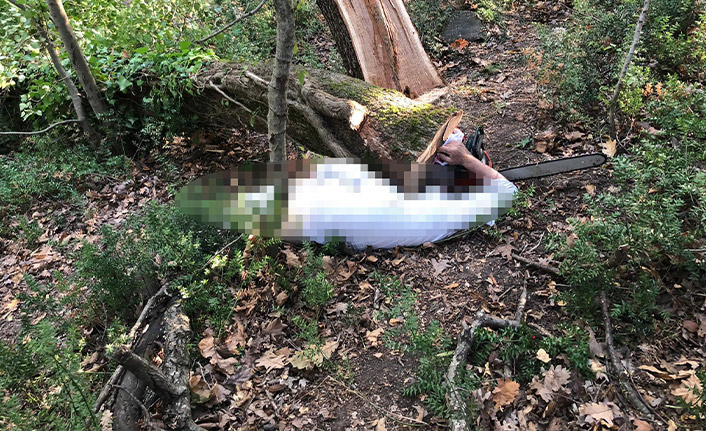 Samsun’da ormanda ağaç keserken altında kalan kişi yaşamını yitirdi