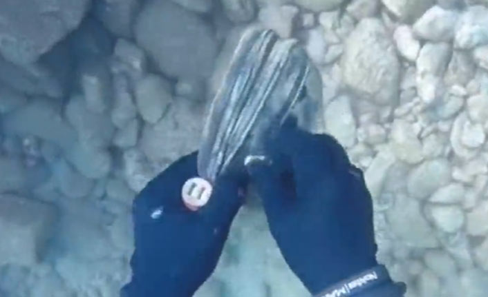 Denizde para olan çanta buldu sahibine gönderdi