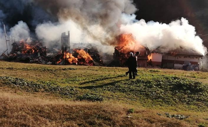 Trabzon'da yayladaki yangın 5 evi kül etti