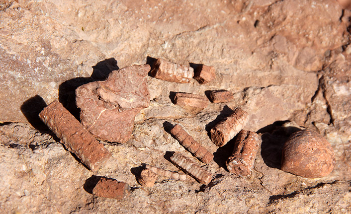 Bayburt'ta o alan korumaya alındı