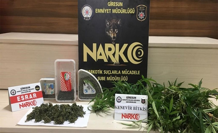Giresun’da uyuşturucu operasyonu