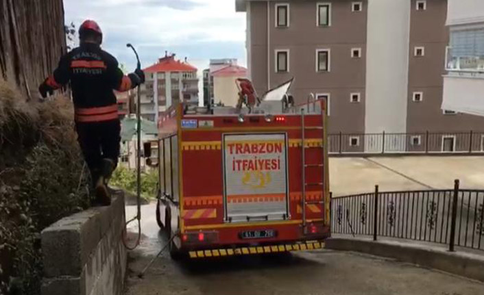 Trabzon'da İki duvar arasına sıkışan köpeği itfaiye kurtardı