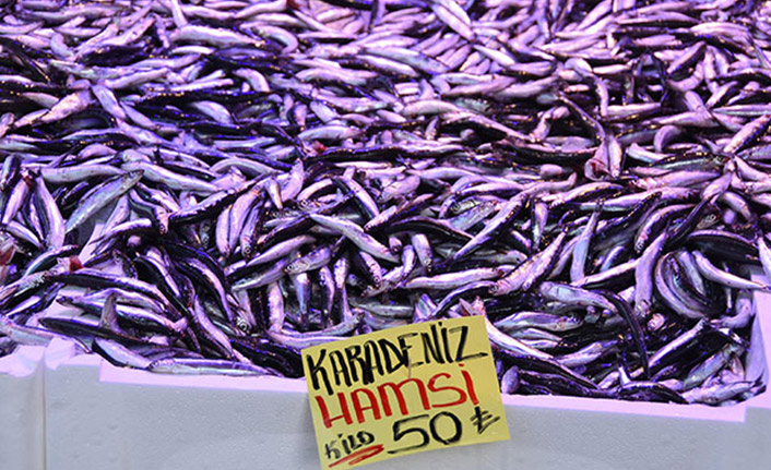 Hamsinin fiyatını görenler koşarcasına uzaklaştı