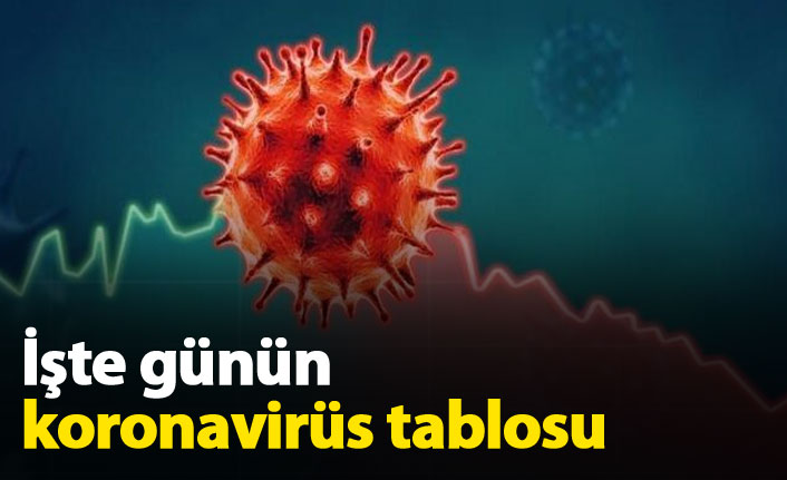 Türkiye'de günün koronavirüs raporu 23.10.2020