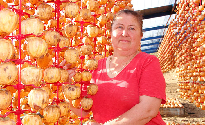 Türkiye'nin dört bir yanına Trabzon hurması gönderiyorlar