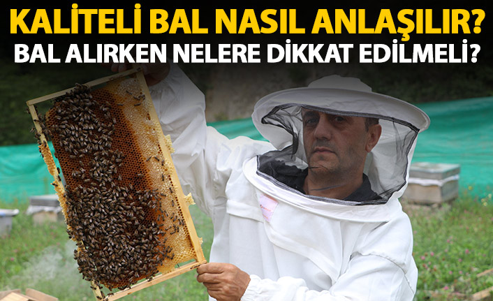 Kaliteli bal nasıl anlaşılır? Bal alırken nelere dikkat edilmeli?