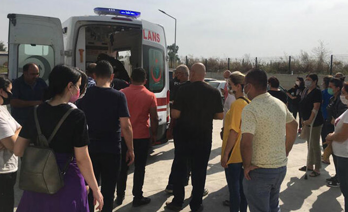 Ağaç kesme tartışmasında 2 ölü, 4 yaralı