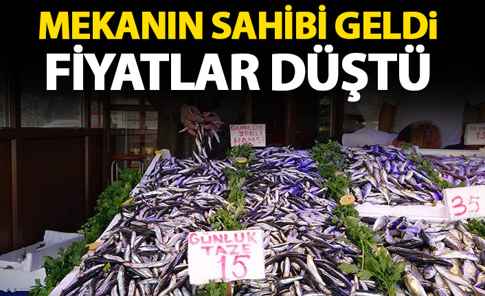 Yerli hamsi çıktı, kilosu 40 TL'den 15 TL'ye düştü