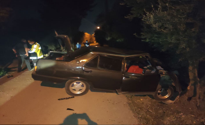 Otomobil zeytin ağacına çarptı