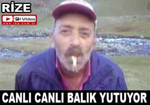 Canlı canlı balığı yutuyor