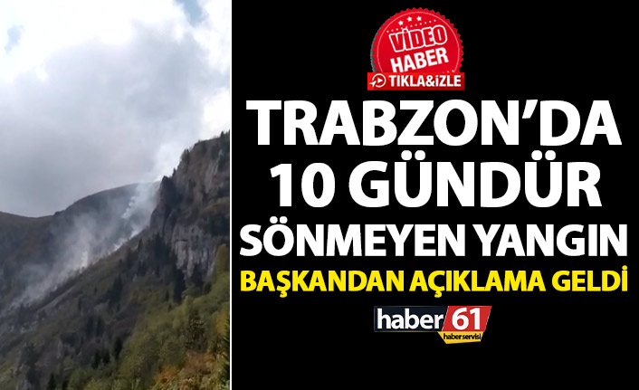 Trabzon’da 10 gündür sönmeyen örtü yangını! Başkandan açıklama geldi