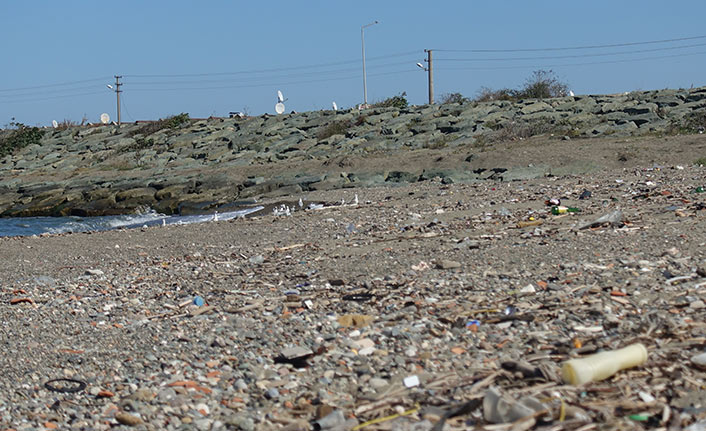 "Karadeniz'deki kirlilik için özel tedbir alınmalı"