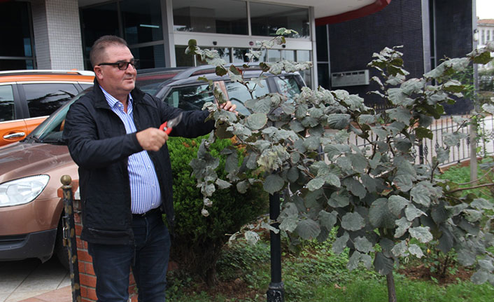TOBB Başkanı dikti, TTB Başkanı budadı