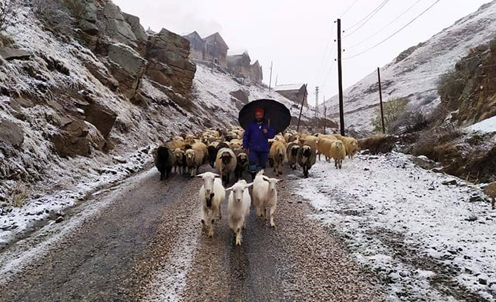 Trabzon'da yaylacılar dönüş yolunda