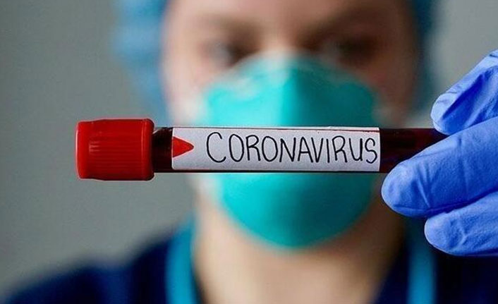 Koronavirüs araştırmalarında bir ilk