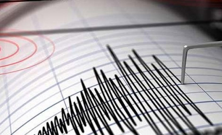 İzmir'de 4,0 üzerinde 46 artçı deprem oldu