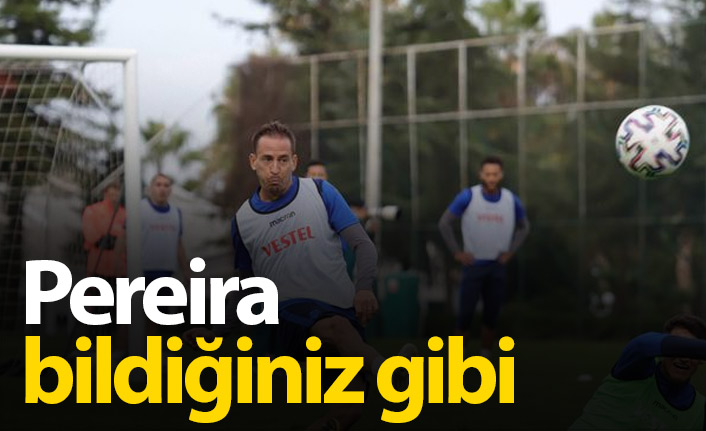 Pereira bildiğiniz gibi