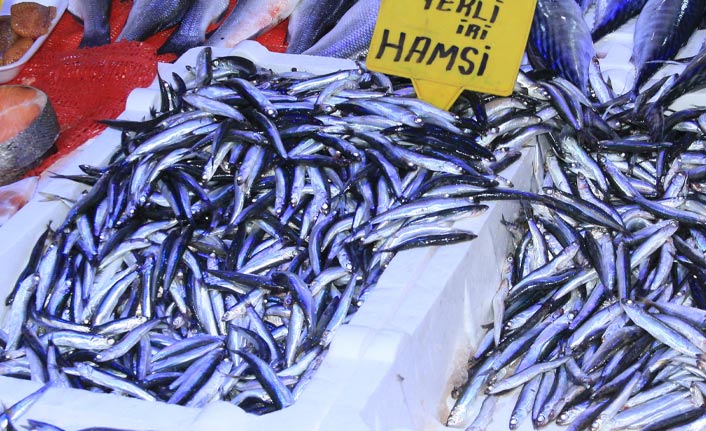 Samsun'da hamsi 10 TL'ye düştü