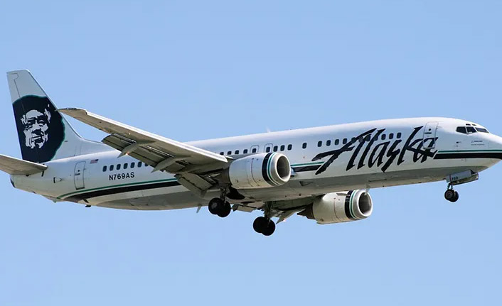 Uçak iniş sırasında ayıya çarptı