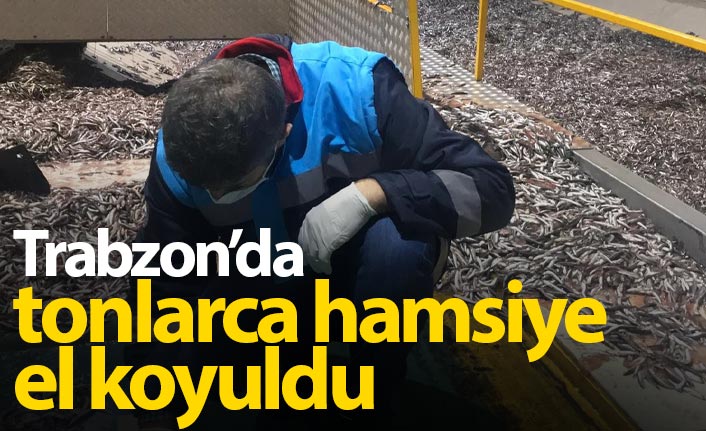 Trabzon'da tonlarca hamsiye el koyuldu