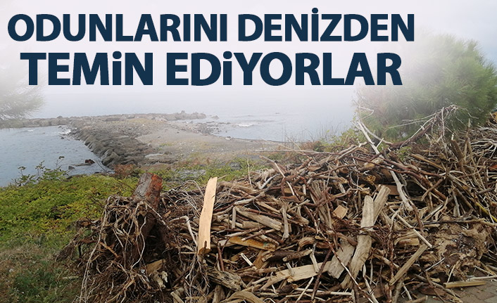 Kışlık odunlarını denizden temin ettiler