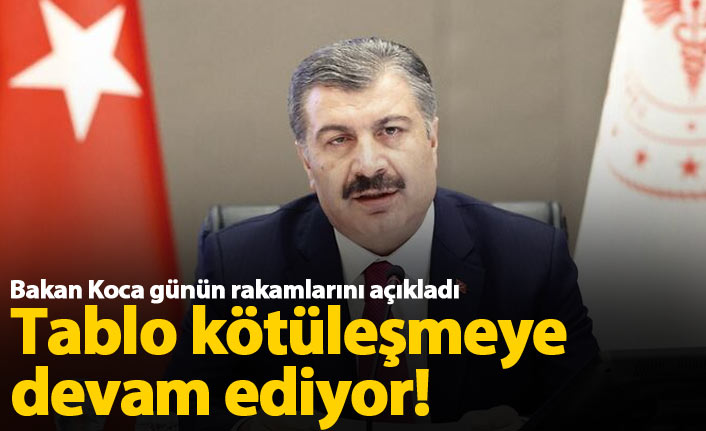 Türkiye'de günün koronavirüs raporu 24.11.2020