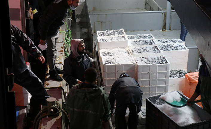 10 ton hamsi ile limana yanaştılar