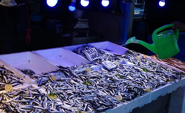 Hamsiye kar suyu değdi!